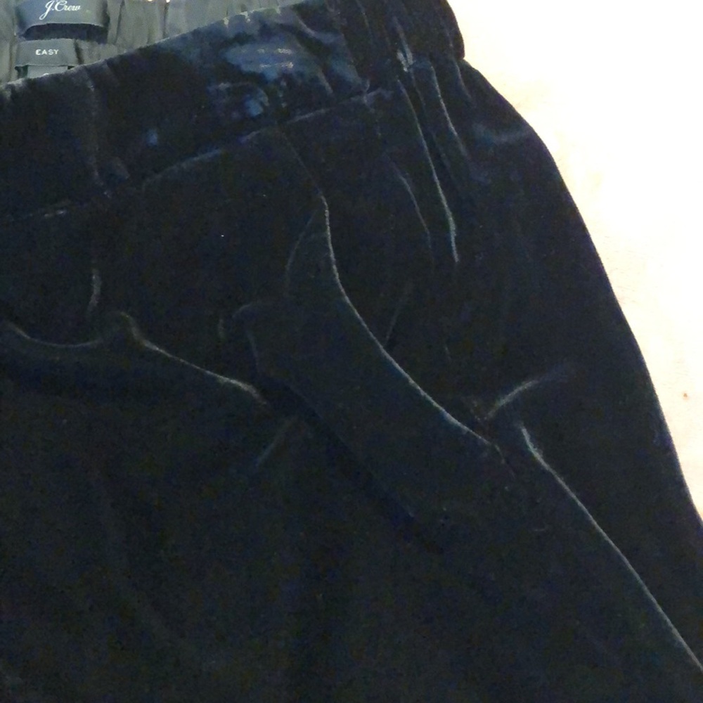 JCrew Velvet Pants - Picture 9 of 13